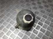 Ausgleichsbehälter Renault Scenic, I 1996.01 - 1999.09 7700839184e,7700839184