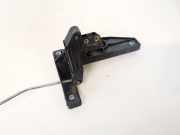 Türinnengriff - Hinten Linke Fiat Brava, 1995.10 - 2002.12 b496,