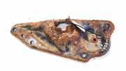 Lagerbock rachsträger - Hinten Linke Citroen C4 Grand Picasso, I 2006.01 - 2013.06 Gebraucht,
