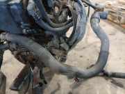 Kühlerschlauch Peugeot Expert, 2007.01 --> Gebraucht,