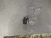 Waschwasserd?se Scheibenreinigung Volvo S60, 2005.01 - 2010.04 facelift Gebraucht,