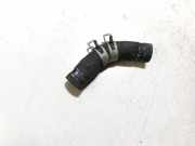 K?hlerschlauch Nissan X-Trail, 2001.06 - 2007.06 Gebraucht,