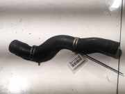 Kühlerschlauch Peugeot 407, 2004.05 - 2010.12 Gebraucht,
