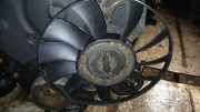 Kupplung Kühlerlüfter Volkswagen Passat, B5 1996.08 - 2000.11 Gebraucht , AFN