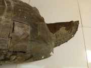 Radhausschale - Vorne Rechts Mazda 3, BK 2003.10 - 2009.06 Gebraucht ,