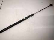 Gasdruckfeder Kofferraum Lexus IS, II 2005.10 - 2013.03 Gebraucht,