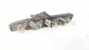 Lampenträger Heckleuchte - Hinten Renault Scenic, II 2003.06 - 2006.06 Gebraucht,