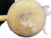 Ausgleichsbehälter Renault Kangoo, 1997.09 - 2003.04 7700836316,