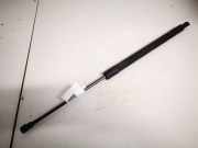 Gasdruckfeder Kofferraum Renault Scenic, III 2009.02 - 2013.06 904500004r,