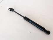 Gasfeder f?r Motorhaube Renault Grand Scenic, II 2009.02 - 2013.06 654700008R,