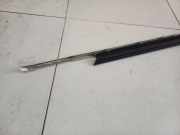 Zierleiste Leiste - Hinten Linke Mercedes-Benz C219, I 2004.10 - 2011.01 2197250565,219 725 05 65