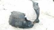 Radhausschale - Vorne Rechts Opel Corsa, D 2006.07 - 2010.06 13187355,13186357