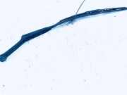 Windschutzscheibe Scheibenwischer Audi A4, B5 1994.11 - 1999.09 8d1955407a,