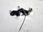 Lampenträger Heckleuchte - Hinten Toyota Avensis, II 2003.04 - 2006.03 Gebraucht,