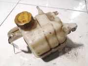 Ausgleichsbeh?lter Chevrolet Captiva, 2006.01 - 2011.06 96629078,96629078