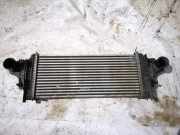Ladeluftkühler Opel Meriva, A 2002.12 - 2006.01 n3292002, n3292-002 x5087001