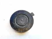 Blende Scheinwerfer - Vorne Renault Laguna, III 2007.10 - 2010.11 89072961,