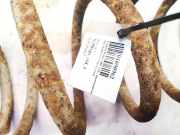 Fahrwerksfeder vorne Peugeot Boxer, 1994.03 - 2002.04 Gebraucht,