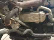Abgaskühler AGR-Kühler Volkswagen Passat, B7 2010.08 - 2014.06 Gebraucht, CAY