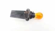 Glühbirnenfassung Blinker Renault Scenic, II 2003.06 - 2006.06 Gebraucht,
