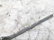 Rollenf?hrung Schiebet?r Toyota Previa, 2000.02 - 2006.01 Gebraucht,