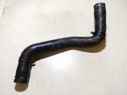 Kühlerschlauch Renault Scenic, I 1999.09 - 2003.06 facelift Gebraucht,