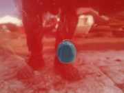 Waschwasserdüse Scheibenreinigung Citroen C2, I 2003.09 - 2006.06 Gebraucht,