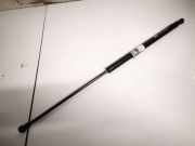 Gasdruckfeder Kofferraum Renault Laguna, III 2007.10 - 2010.11 Gebraucht,