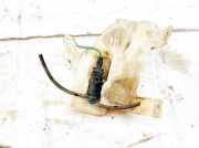 Scheibenwaschbeh?lter Vorne Wischwasserbeh?lter Fiat Croma 2005 - 2011 Gebraucht,