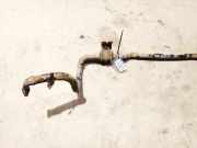 Stabilisator Vorne Renault Scenic, II 2003.06 - 2006.06 Gebraucht,