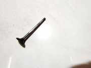 Auslassventil Fiat Bravo, 1995.10 - 2001.10 Gebraucht,