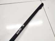 Zierleiste Leiste - Vorne Rechts Ford Focus, 2004.11 - 2008.06 Gebraucht ,