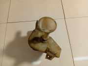 Scheibenwaschbehälter Vorne Wischwasserbehälter Nissan Primera, P12 2002.01 - 2008.12 Gebraucht ,