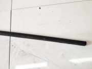 Zierleiste Leiste - Hinten Linke Mitsubishi Pajero, 1999.10 - 2006.12 Gebraucht,