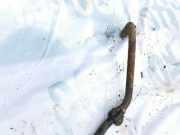 Stabilisator Vorne Nissan Almera, N15 1995.07 - 1998.06 Gebraucht,