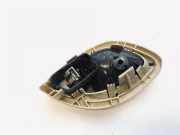 Türinnengriff - Vorne Linke Renault Espace, IV 2002.11 - 2014.12 8200000723,