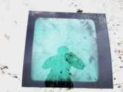 Seitenfenster Seitenscheibe - Skoda Yeti 2009 - 2013 as3,
