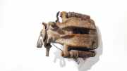 Bremssattel - Hinten Linke Citroen C8, I 2002.07 - 2008.06 Gebraucht,