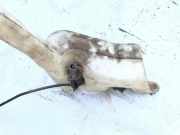 Scheibenwaschbehälter Vorne Wischwasserbehälter Renault Laguna, I 1994.01 - 2001.03 7701669829, 7701672449