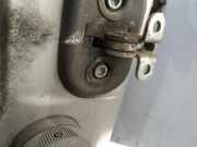 Türfangband Türbremse Türstopper - Vorne Rechts Fiat Punto, 1999.09 - 2005.10 Gebraucht,
