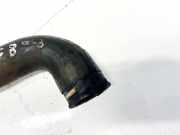 Kühlerschlauch Skoda Fabia, I 6Y 1999.08 - 2005.10 Gebraucht,