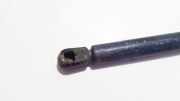 Gasdruckfeder Kofferraum Fiat Brava, 1995.10 - 2002.12 Gebraucht,