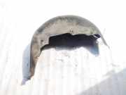 Radhausschale - Hinten Rechts Toyota Corolla, 2004.02 - 2007.02 facelift 6583802010, 65838-02010