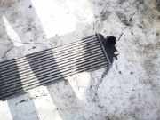 Ladeluftkühler Renault Trafic, X83 2001.03 - 2006.08 7700312903, 91166035