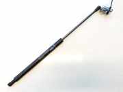Gasfeder für Motorhaube Lexus IS, II 2005.10 - 2013.03 534400w101,53440-0w101