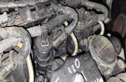 Einspritzdüse Citroen C5, II 2008.02 - 2011.01 0445110297,