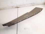 Innenausstattung Renault Scenic, II 2003.06 - 2006.06 8200165070,