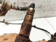 Lambdasonde -4 Dr?hte WEISS WEISS SCHWARZ GRAU Volkswagen Golf, VI 2008.10 - 2012.06 Gebraucht,