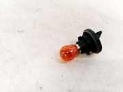 Glühbirnenfassung Blinker Renault Clio, 2001.05 - 2004.11 facelift Gebraucht,