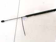 Gasdruckfeder Kofferraum Fiat Stilo, 2001.10 - 2007.01 8357NO0250N,